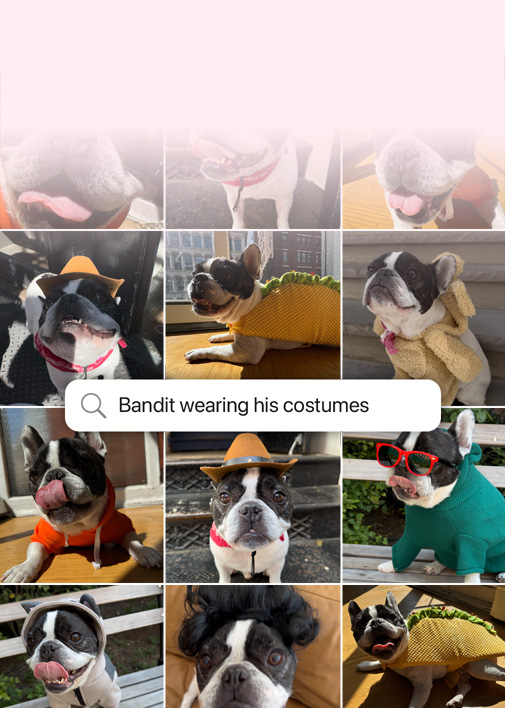 Démonstration d’une recherche de photos à l’aide du langage naturel. Photos d’un chien avec au-dessus un champ de recherche disant « Photos de Bandit portant un costume ».