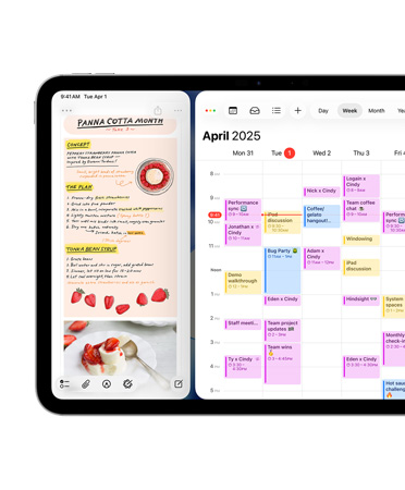 Ein iPad im Querformat, die linke Seite des Displays zeigt die Journal App